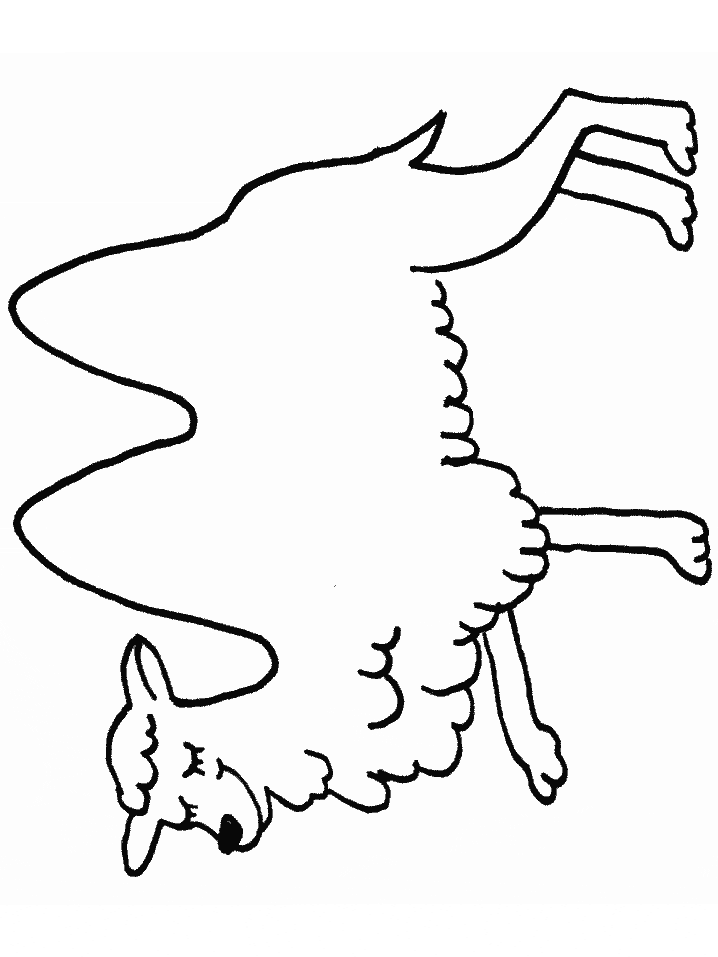 printable camel coloring pages