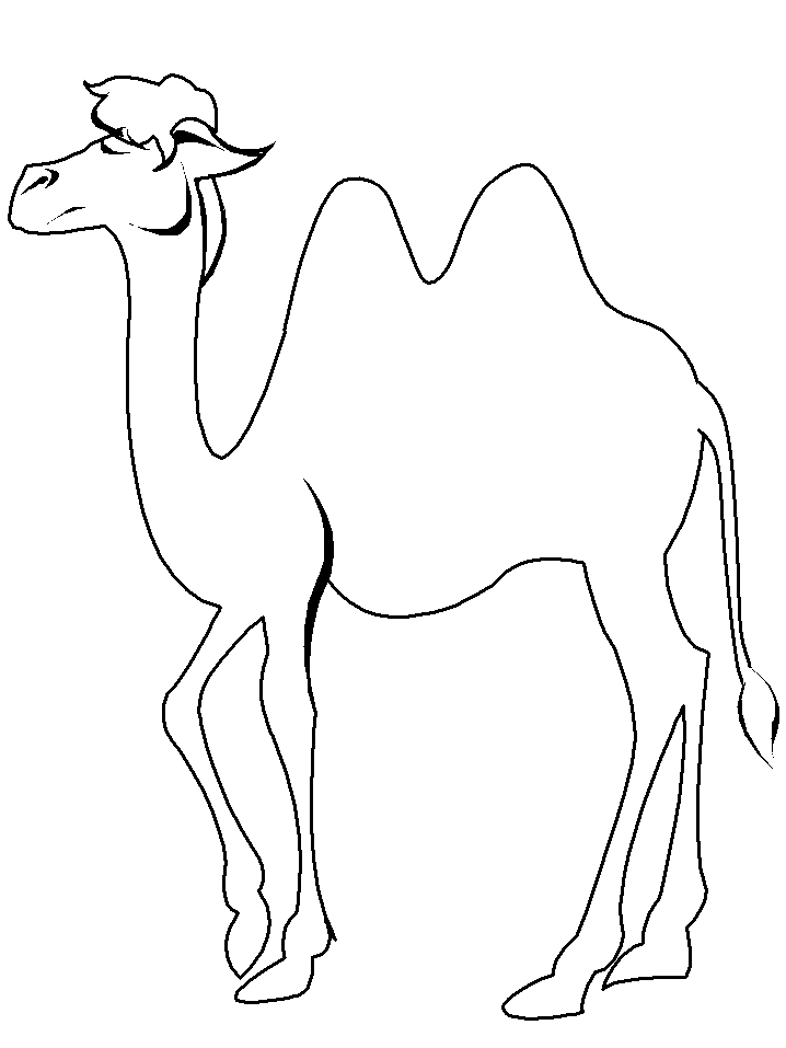 coloring page camel