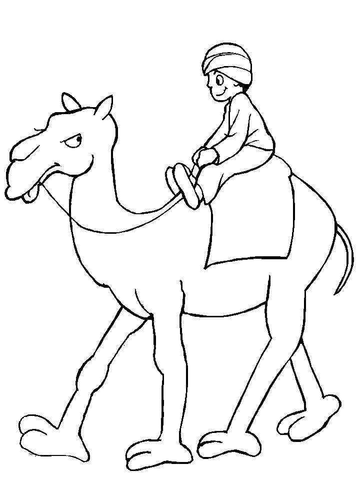 preschool camel coloring pages