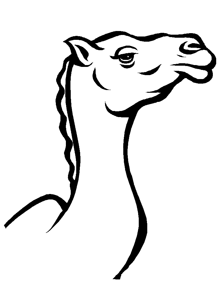free camel coloring page