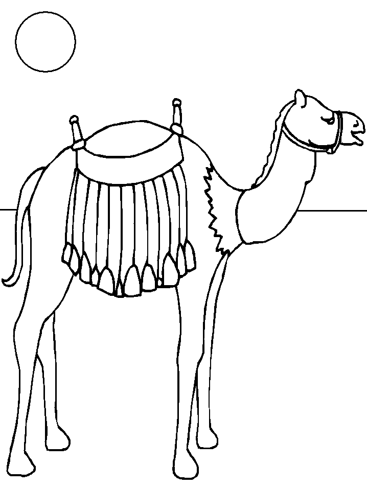 camel coloring pages printable