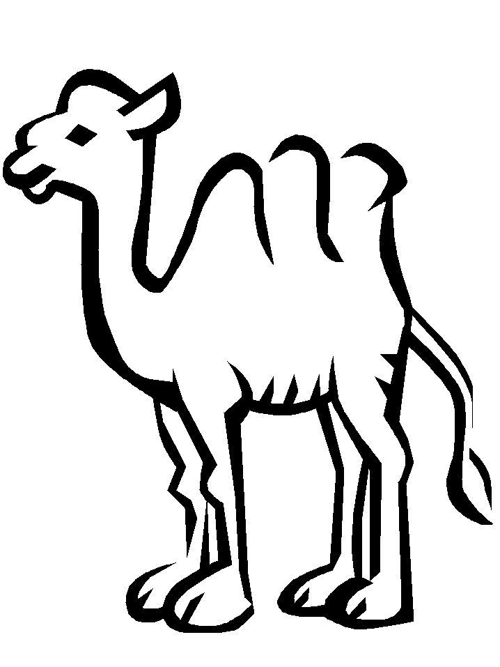 Coloring Page of Camel