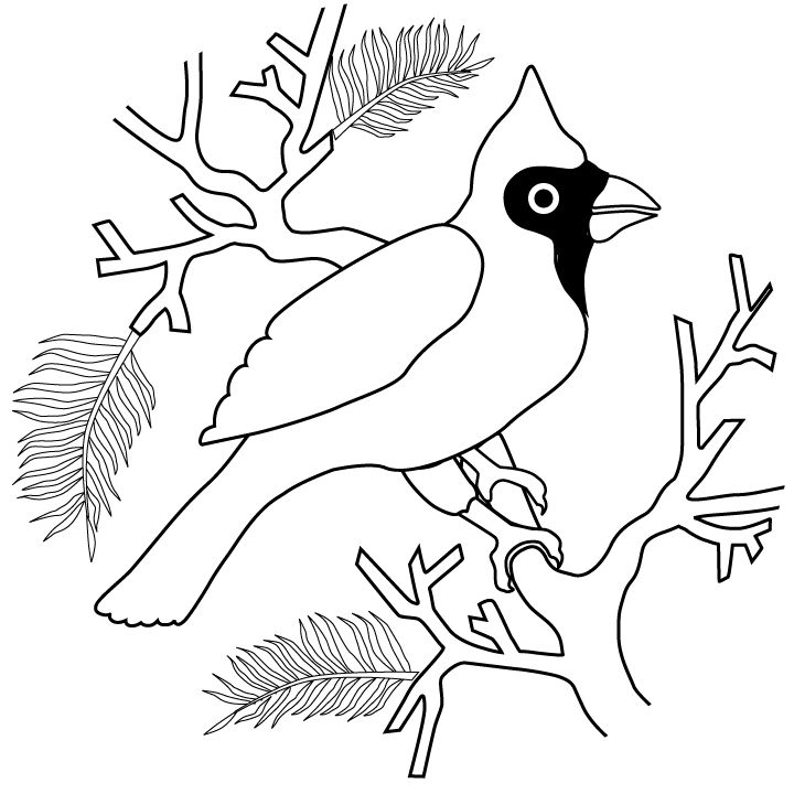 cardinal-in-winter-coloring-pages-preschool