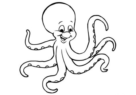 Cartoon Octopus coloring page