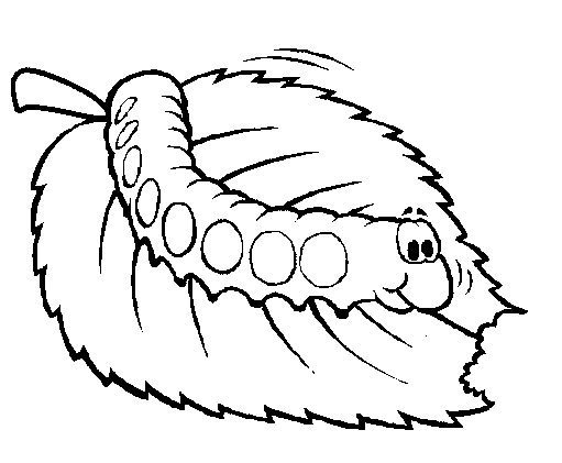 Caterpillar Bug Coloring Page