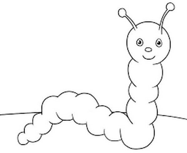 Caterpillar fun Coloring page