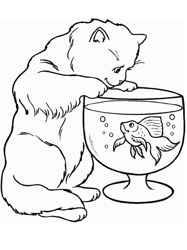 Cat Coloring Page Realistic