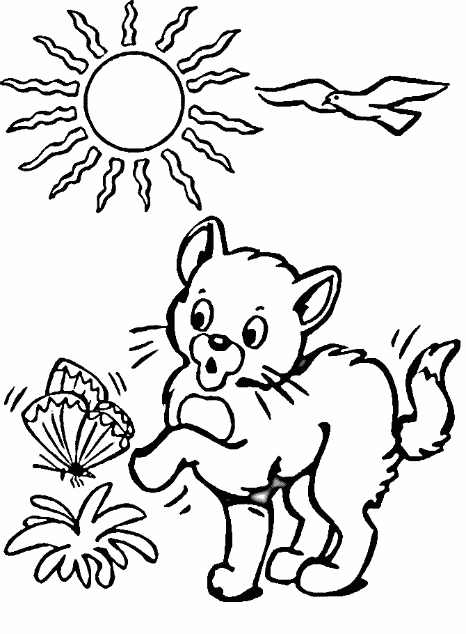 Printable Coloring Pages of Cat