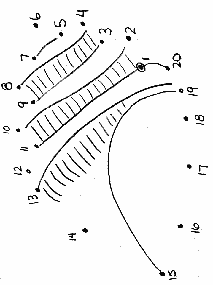 Cdshell Ctd Coloring Pages