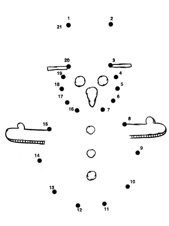 Cdsnowman Ctd Coloring Pages