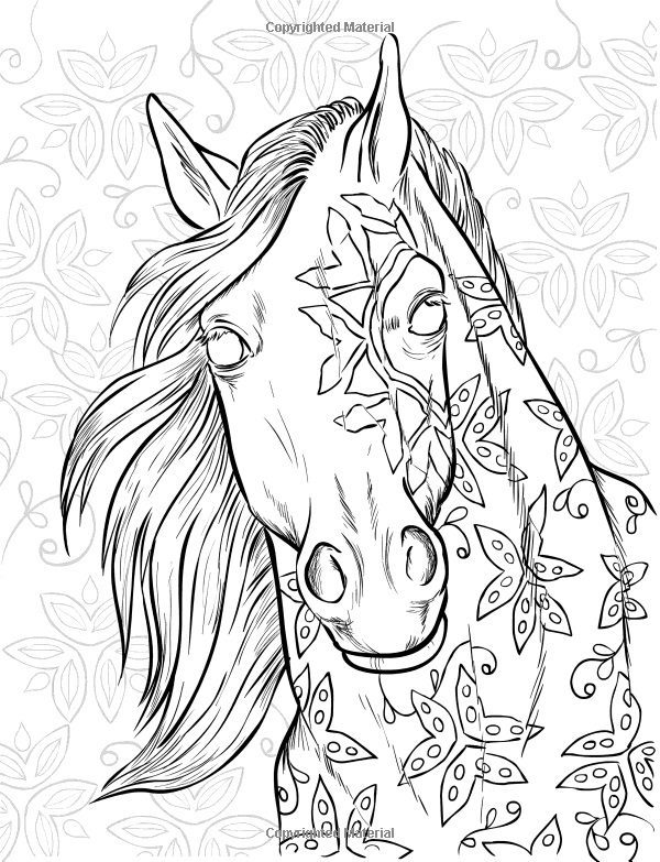 challenging coloring pages paint horse