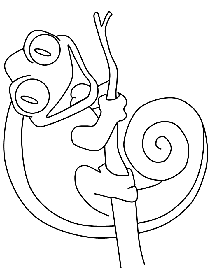 Chameleon Coloring Pages