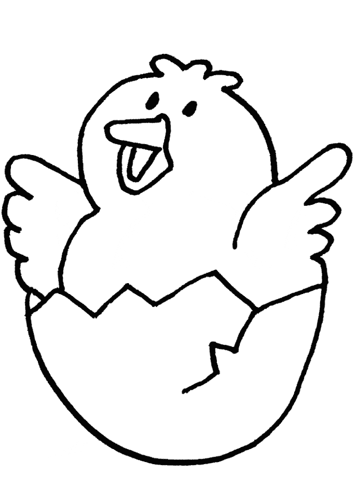 Chick Animals Coloring Pages