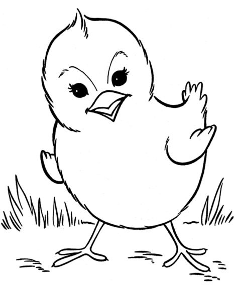 Chick Coloring Page