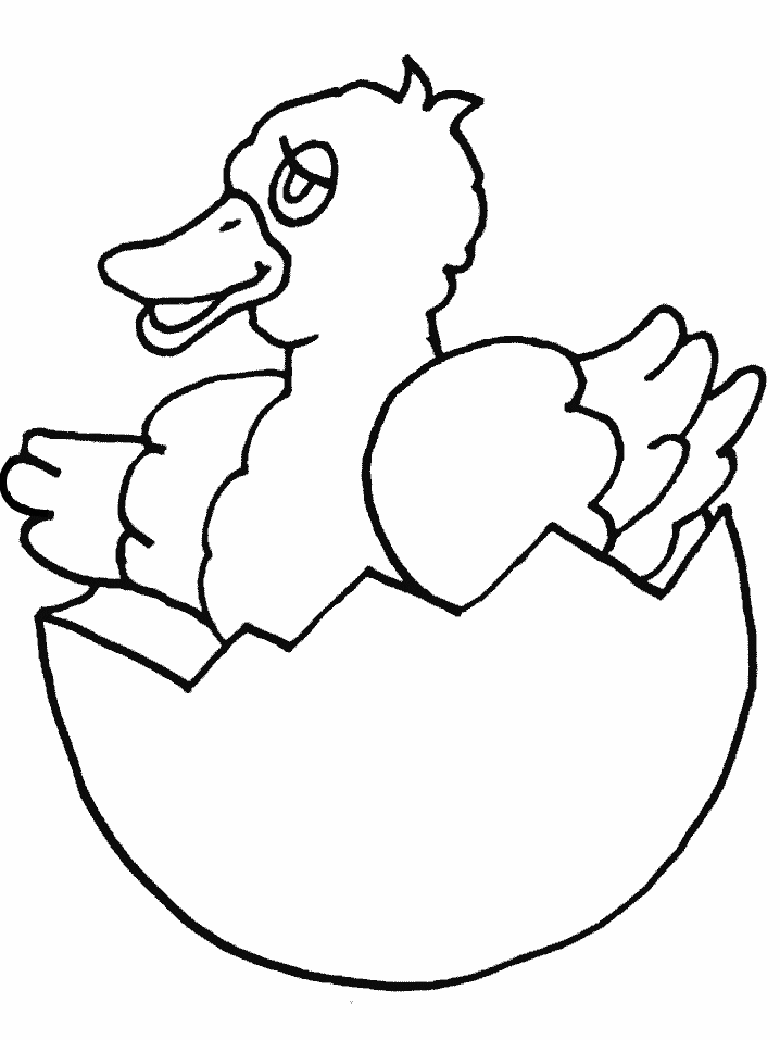 Cute Chick Coloring Page