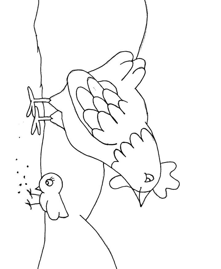 Chicken Animals Coloring Pages