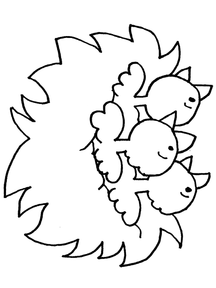 Chicks Animals Coloring Pages