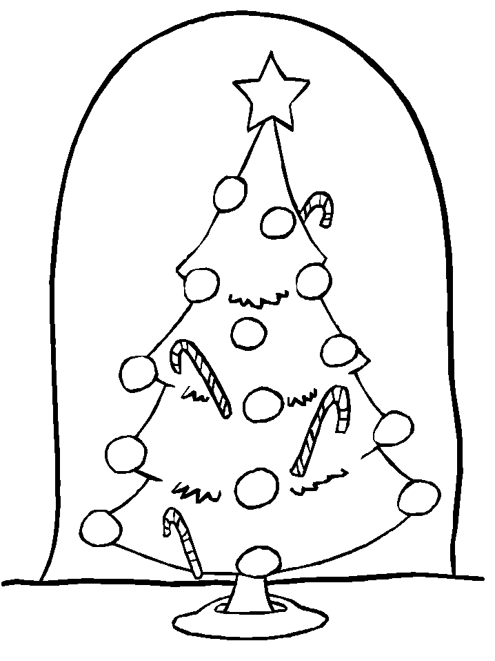 Christmas Tree Display