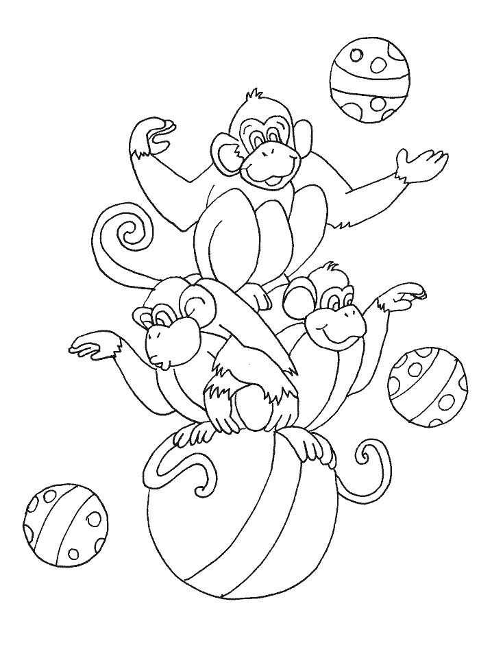 Circus Monkey Coloring Pages