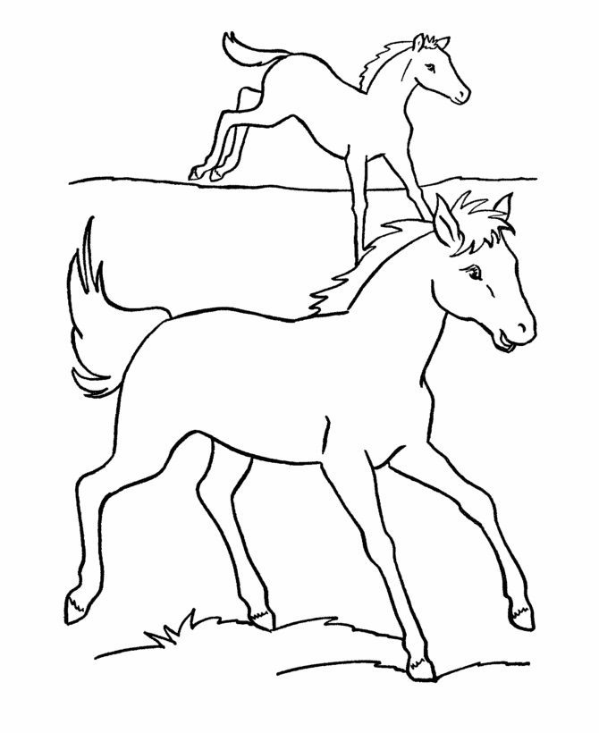 cloverbud horse coloring pages