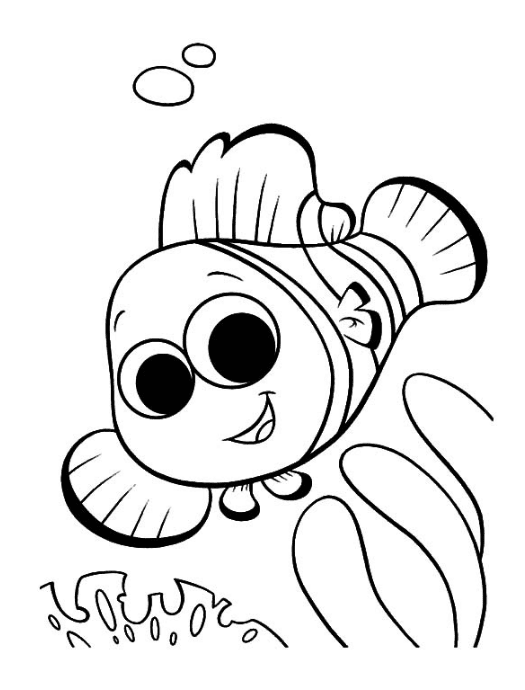 Clown Fish