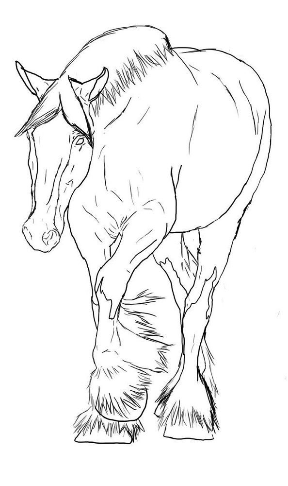 clydesdale horse coloring pages to print