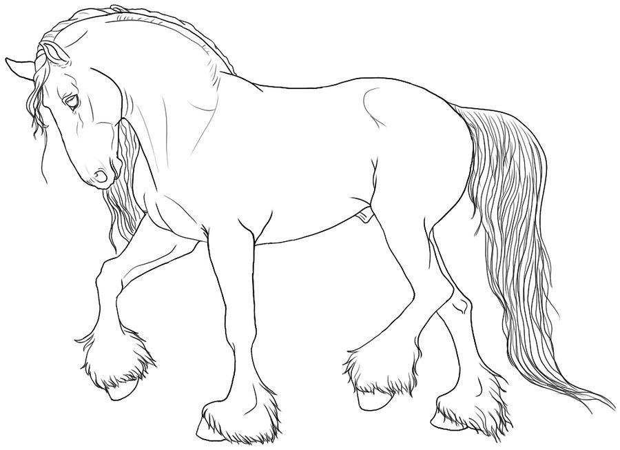 clydesdale horse draft horse coloring pages