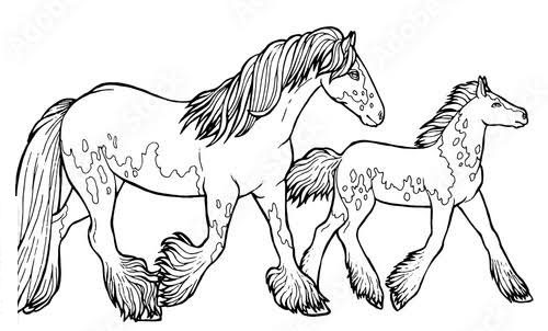 clydesdale horse with foal coloring pages