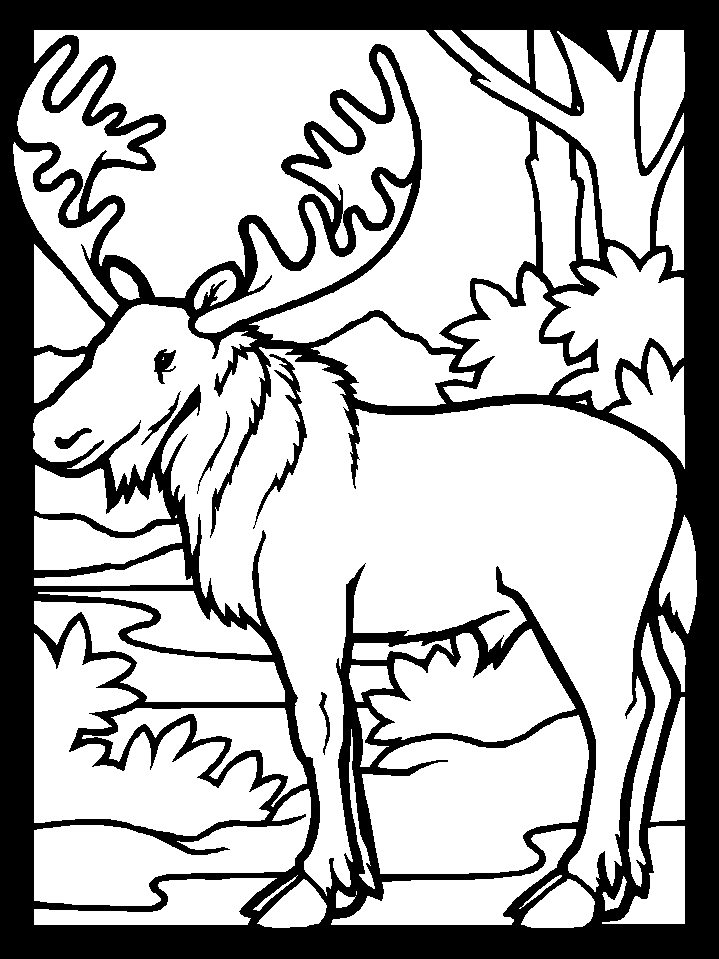 Moose Coloring Pages Printable