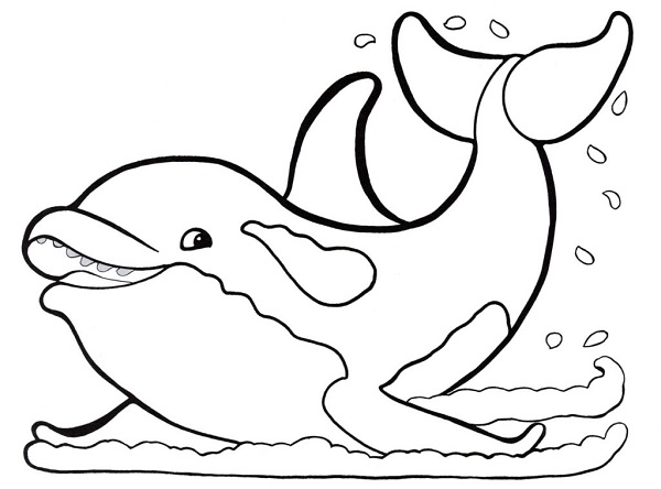 Coloring Dolphin Pages