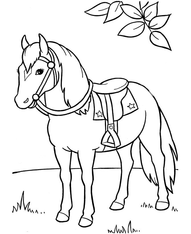 coloring horse pages