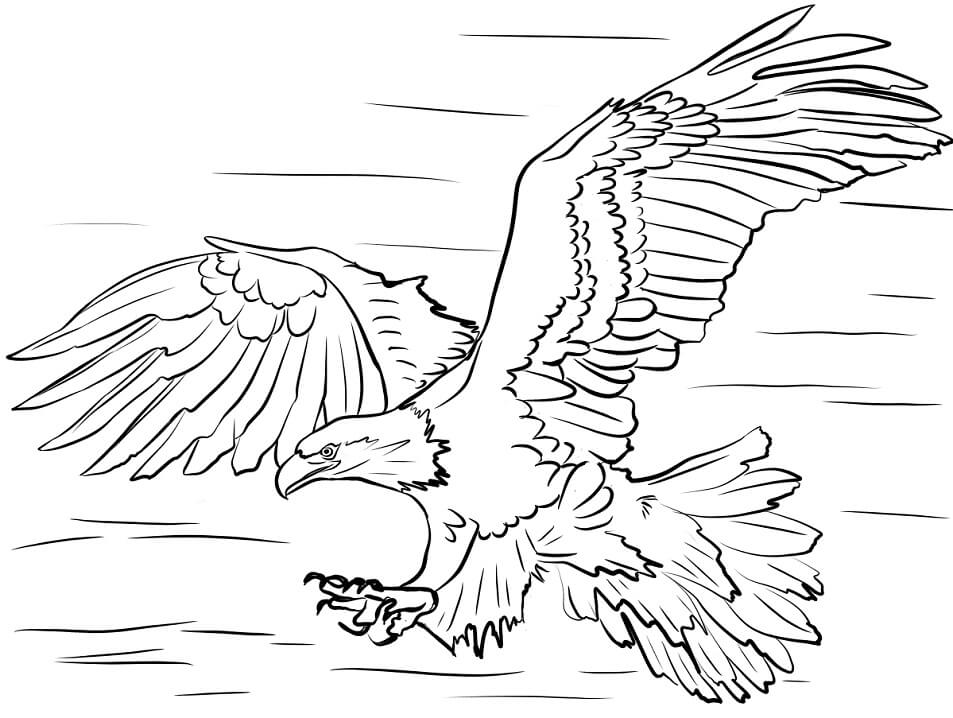 Coloring Page Eagle