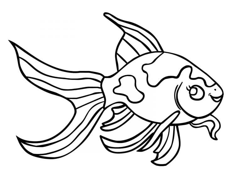 Coloring Page Fish