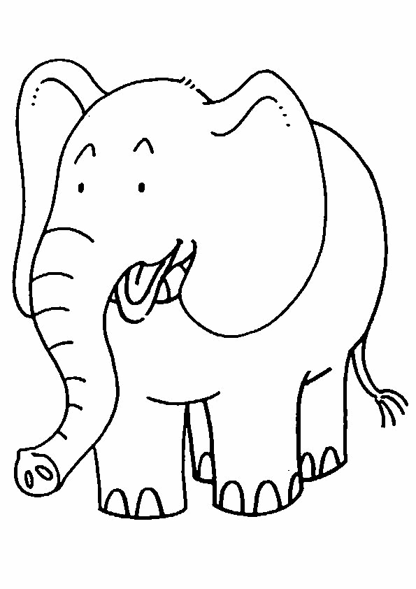 Coloring Page for Kids