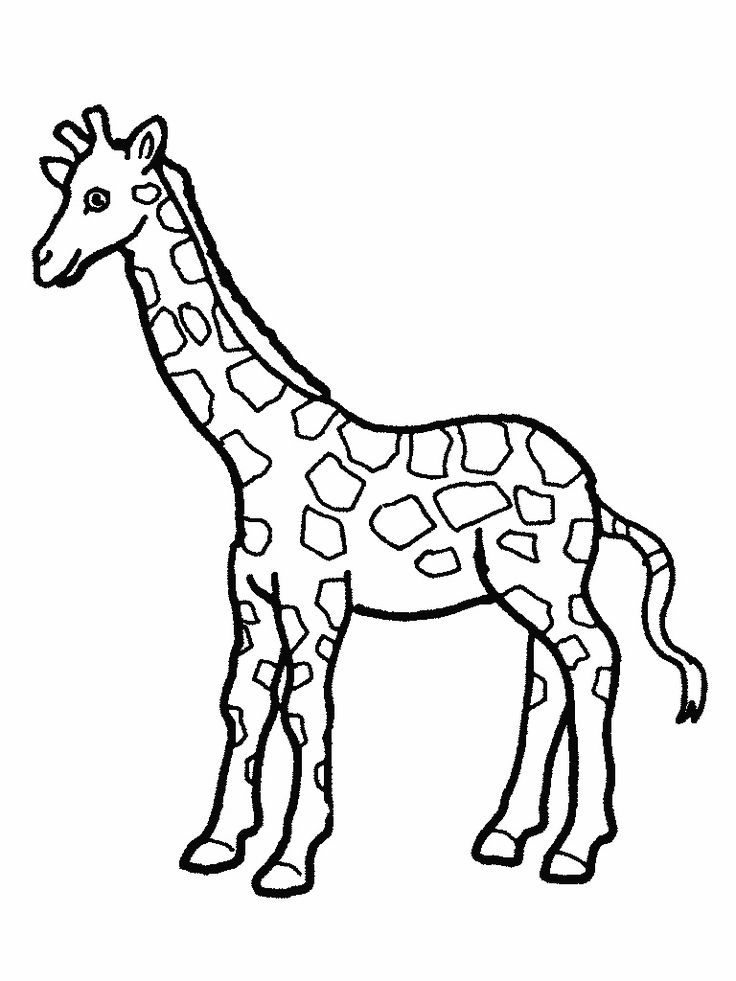 Coloring Page Giraffe