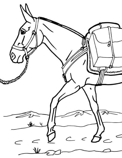 Coloring Page Horse