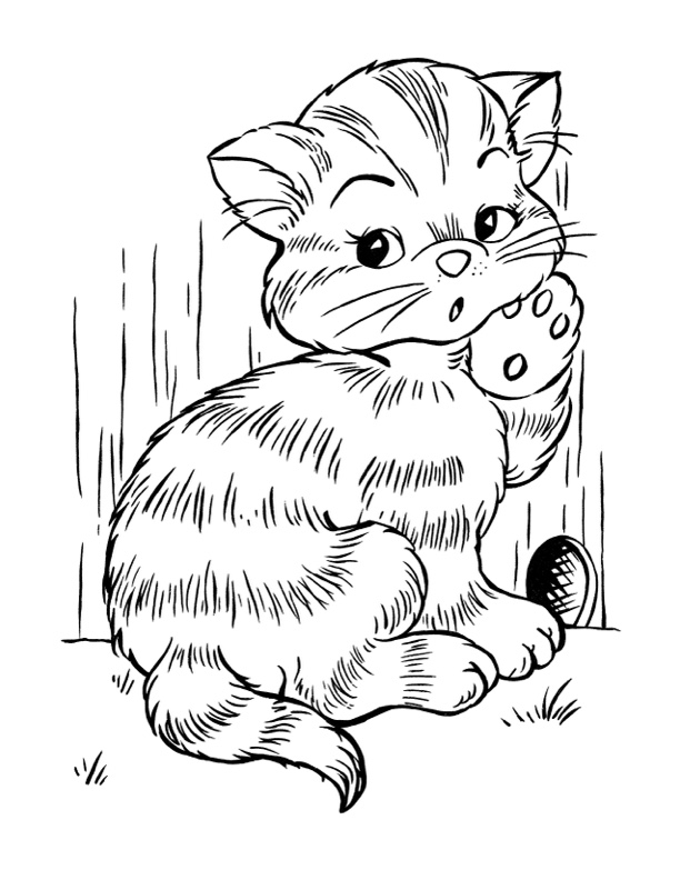 Coloring Page Kitty