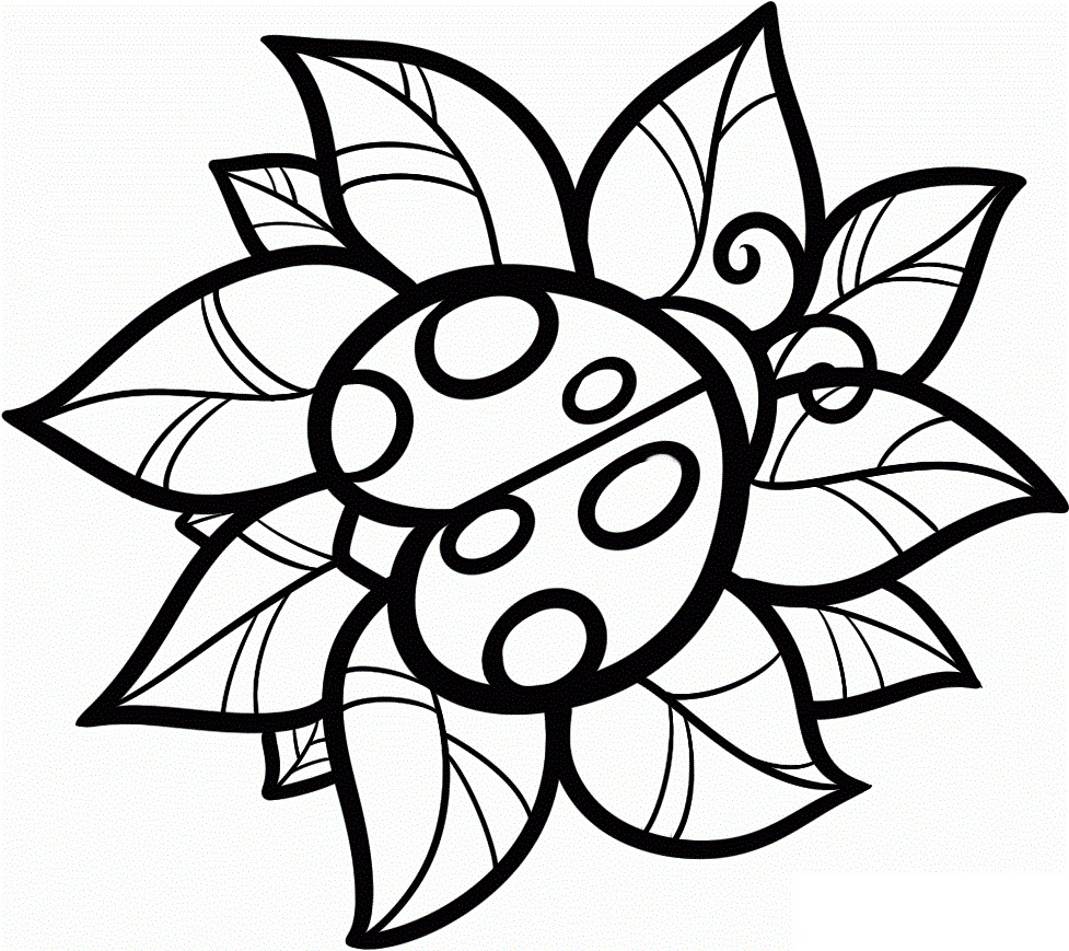 coloring page ladybug