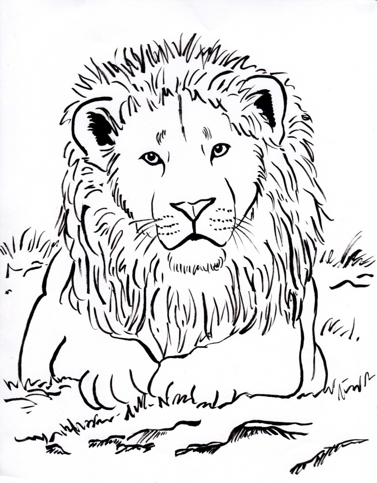 Coloring Page Lion