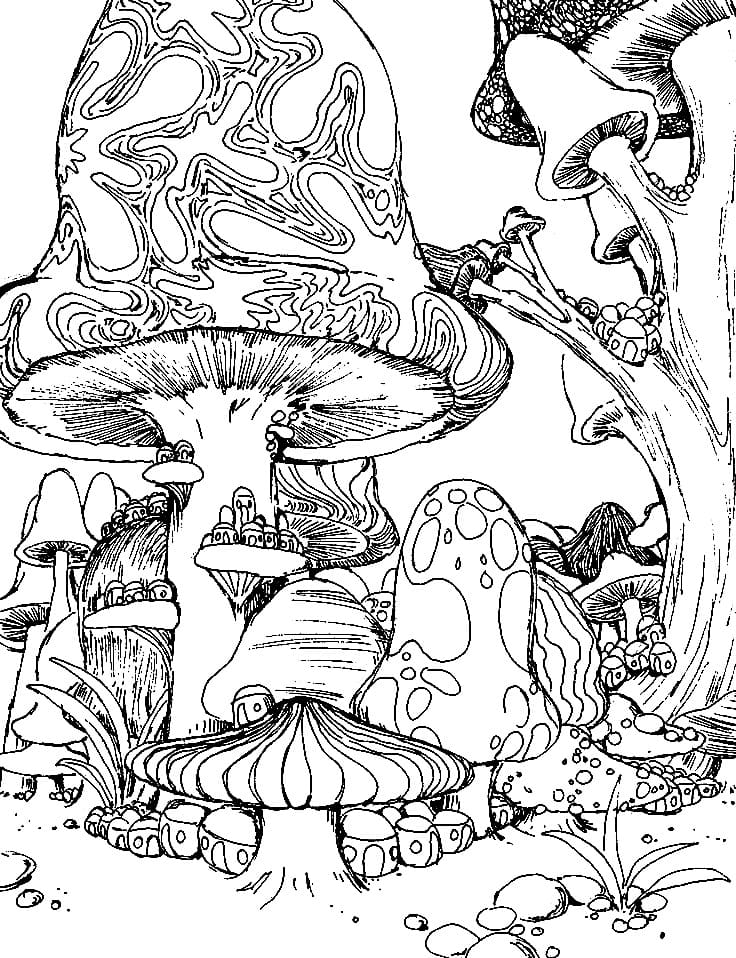 Coloring Page Mushroom