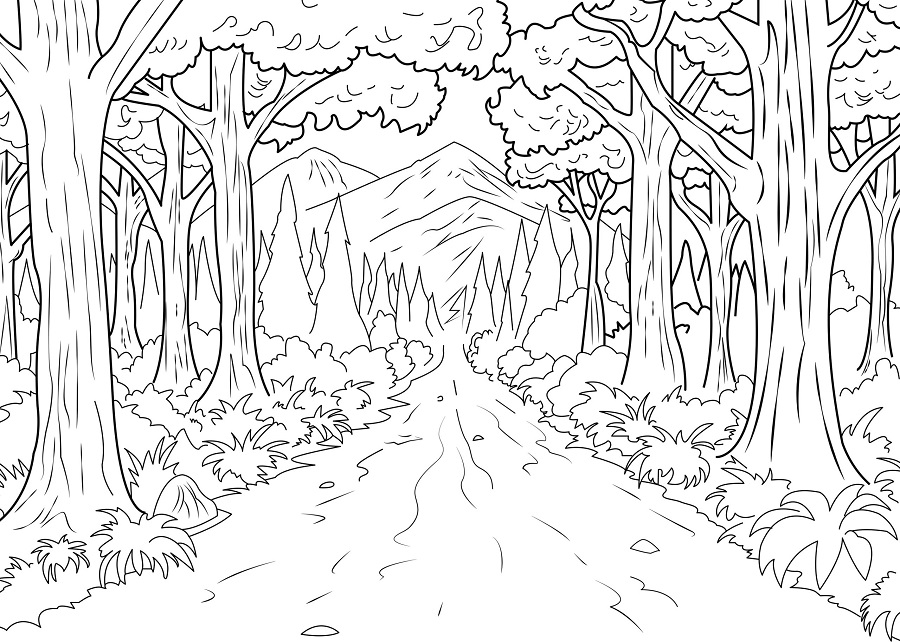 coloring page nature