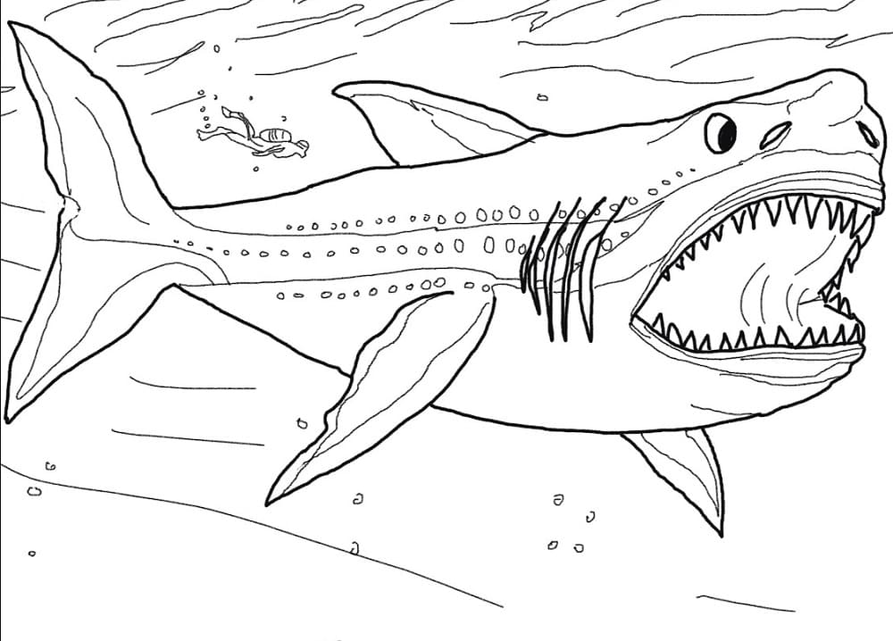 Coloring Page Shark