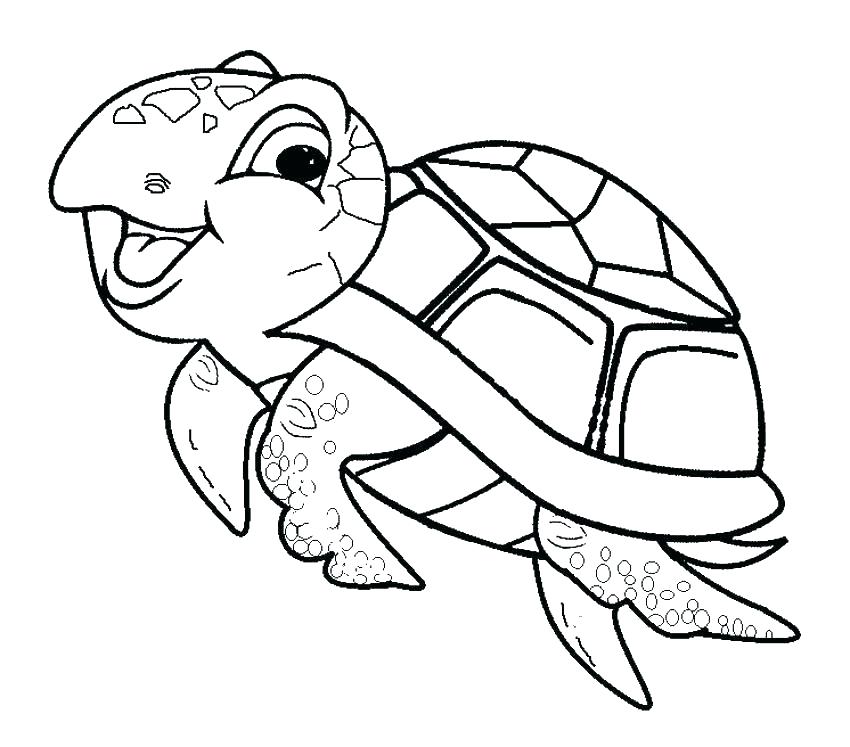 Coloring Page Turtle