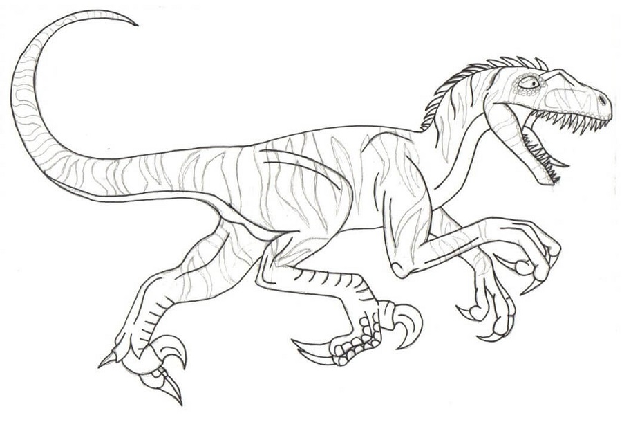 Coloring Page Velociraptor