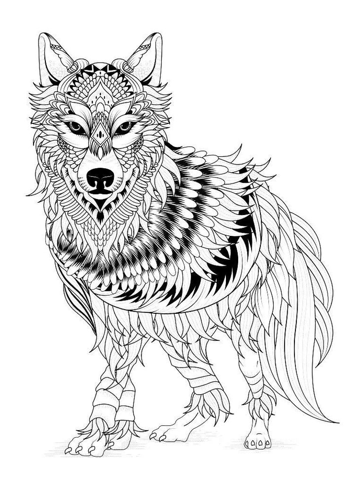 Coloring Page Wolf