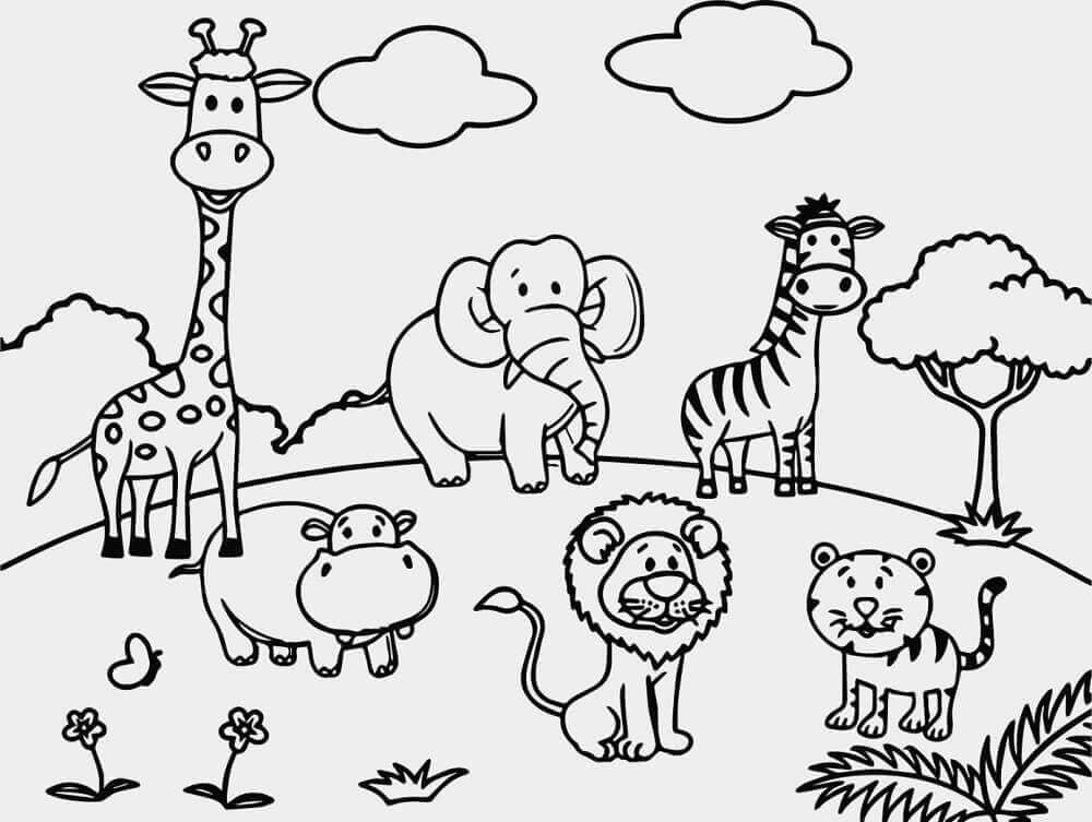 Coloring Page Zoo Animals