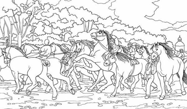 Many Horses Coloring Pages