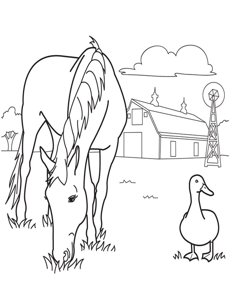 coloring pages animals of a horse