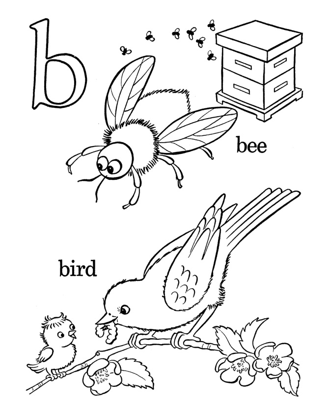 Coloring Pages Birds and Insects