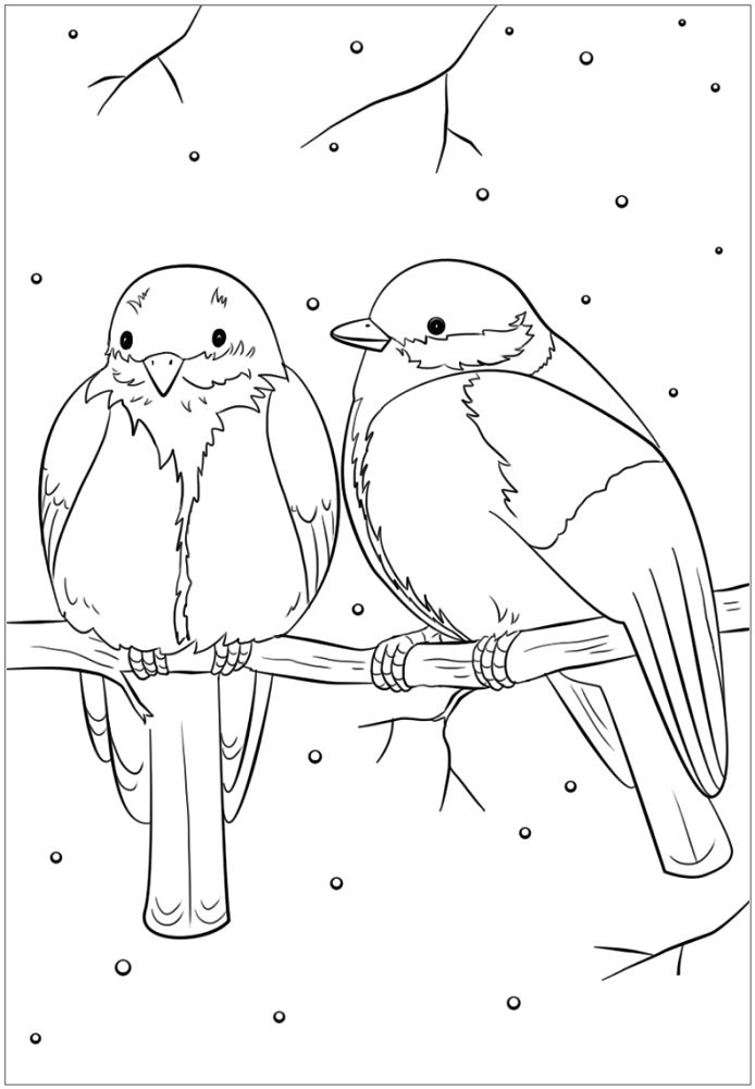 coloring pages birds in winter